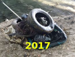 2017